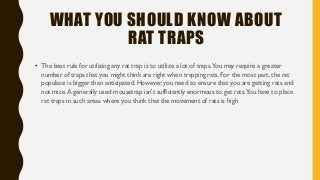 WHAT YOU SHOULD KNOW ABOUT
RAT TRAPS
• The best rule for utilizing any rat trap is to utilize a lot of traps.You may require a greater
number of traps that you might think are right when trapping rats. For the most part, the rat
populace is bigger than anticipated. However, you need to ensure that you are getting rats and
not mice.A generally used mousetrap isn't sufficiently enormous to get rats.You have to place
rat traps in such areas where you think that the movement of rats is high
 