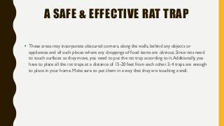 A SAFE & EFFECTIVE RAT TRAP
• These areas may incorporate obscured corners, along the walls, behind any objects or
appliances and all such places where any droppings of food items are obvious. Since rats need
to touch surfaces as they move, you need to put the rat trap according to it.Additionally, you
have to place all the rat traps at a distance of 15-20 feet from each other. 2-4 traps are enough
to place in your home. Make sure to put them in a way that they are touching a wall.
 