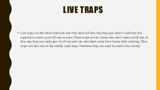 LIVE TRAPS
• Live traps, on the other hand are one that don’t kill the rats they just catch it and have the
capacity to catch up to 30 rats at once.These traps are for those who don’t want to kill rats. In
this way, they can easily get rid of rats and can take them away from home after catching. Glue
traps are also one of the widely used traps. However, they are used to catch mice mostly.
 