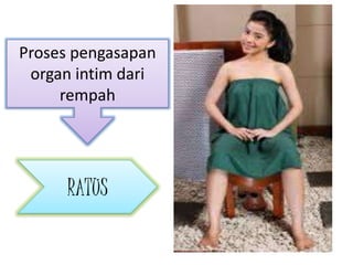 Proses pengasapan
organ intim dari
rempah
RATUS