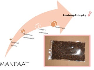 MANFAAT
kualitas hub seks