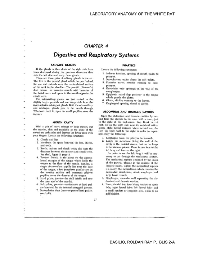 Laboratory Anatomy Of The White Rat Pdf Pdf Biological Sciences