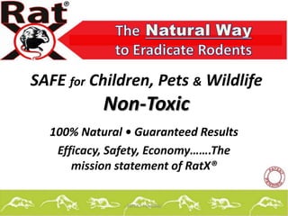 SAFE for Children, Pets & Wildlife
           Non-Toxic
  100% Natural • Guaranteed Results
   Efficacy, Safety, Economy…….The
      mission statement of RatX®

               --PATENT PENDING--     1
 