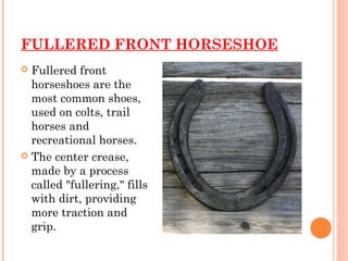 FULLERED FRONT HORSESHOE
 Fullered front
horseshoes are the
most common shoes,
used on colts, trail
horses and
recreation...