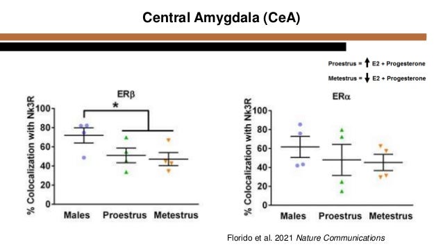 Sex Differences in Fear Memory | PPTX