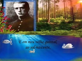 E em meu velho quintal,
ao sol-nascente,
 