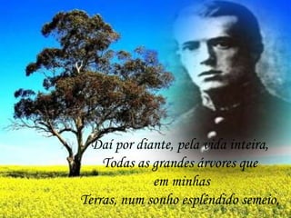 Daí por diante, pela vida inteira,
Todas as grandes árvores que
em minhas
Terras, num sonho esplêndido semeio,
 