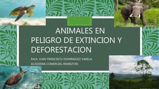 ANIMALES EN
PELIGRO DE EXTINCION Y
DEFORESTACION
RAUL JUAN FRANCISCO DOMINGUEZ VARELA
ACADEMIA COMERCIAL REMIGTON
 