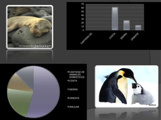 70
          60
          50
          40
          30
          20
          10
           0




CANTIDAD DE
ANIMALES
DOMESTICOS
COSTA


SIERRA


ORIENTE


INSULAR
 