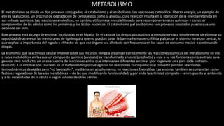 METABOLISMO
El metabolismo se divide en dos procesos conjugados, el catabolismo y el anabolismo. Las reacciones catabólicas liberan energía; un ejemplo de
ello es la glucólisis, un proceso de degradación de compuestos como la glucosa, cuya reacción resulta en la liberación de la energía retenida en
sus enlaces químicos. Las reacciones anabólicas, en cambio, utilizan esa energía liberada para recomponer enlaces químicos y construir
componentes de las células como las proteínas y los ácidos nucleicos. El catabolismo y el anabolismo son procesos acoplados puesto que uno
depende del otro.
Este proceso está a cargo de enzimas localizadas en el hígado. En el caso de las drogas psicoactivas a menudo se trata simplemente de eliminar su
capacidad de atravesar las membranas de lípidos para que no puedan pasar la barrera hematoencefálica y alcanzar el sistema nervioso central, lo
que explica la importancia del hígado y el hecho de que ese órgano sea afectado con frecuencia en los casos de consumo masivo o continuo de
drogas.
La economía que la actividad celular impone sobre sus recursos obliga a organizar estrictamente las reacciones químicas del metabolismo en vías
o rutas metabólicas en las que un compuesto químico (sustrato) es transformado en otro (producto) y este a su vez funciona como sustrato para
generar otro producto, en una secuencia de reacciones en las que intervienen diferentes enzimas (por lo general una para cada sustrato-
reacción). Las enzimas son cruciales en el metabolismo porque agilizan las reacciones fisicoquímicas al convertir posibles reacciones
termodinámicas deseadas pero "no favorables", mediante un acoplamiento, en reacciones favorables. Las enzimas también se comportan como
factores reguladores de las vías metabólicas —de las que modifican la funcionalidad, y por ende la actividad completa— en respuesta al ambiente
y a las necesidades de la célula o según señales de otras células.
 
