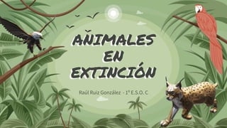 ANIMALES
EN
EXTINCIÓN
Raúl Ruiz González - 1º E.S.O. C
 