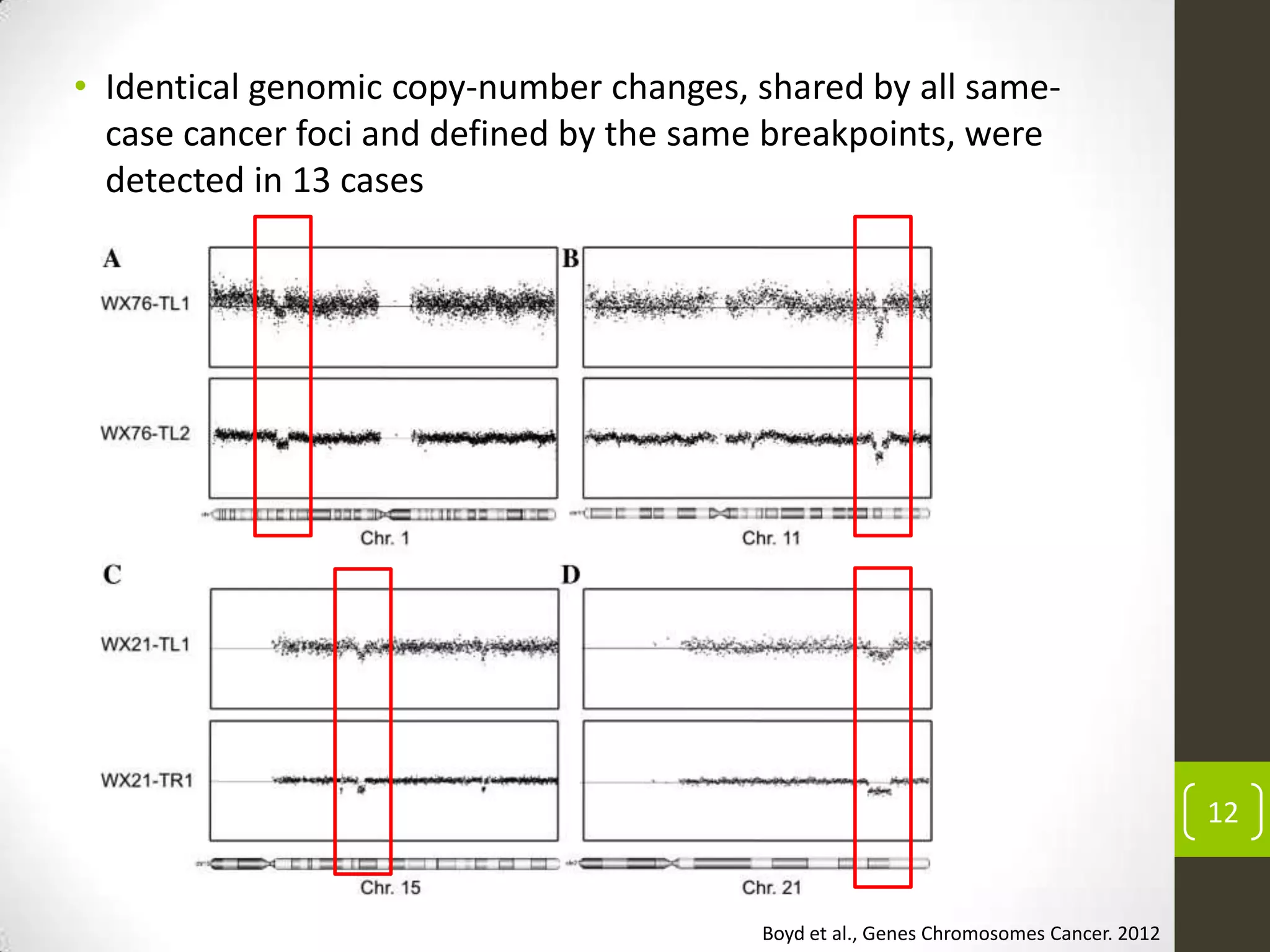 12
• Identical genomic copy-number changes, shared by all same-
case cancer foci and defined by the same breakpoints, were
detected in 13 cases
Boyd et al., Genes Chromosomes Cancer. 2012
 