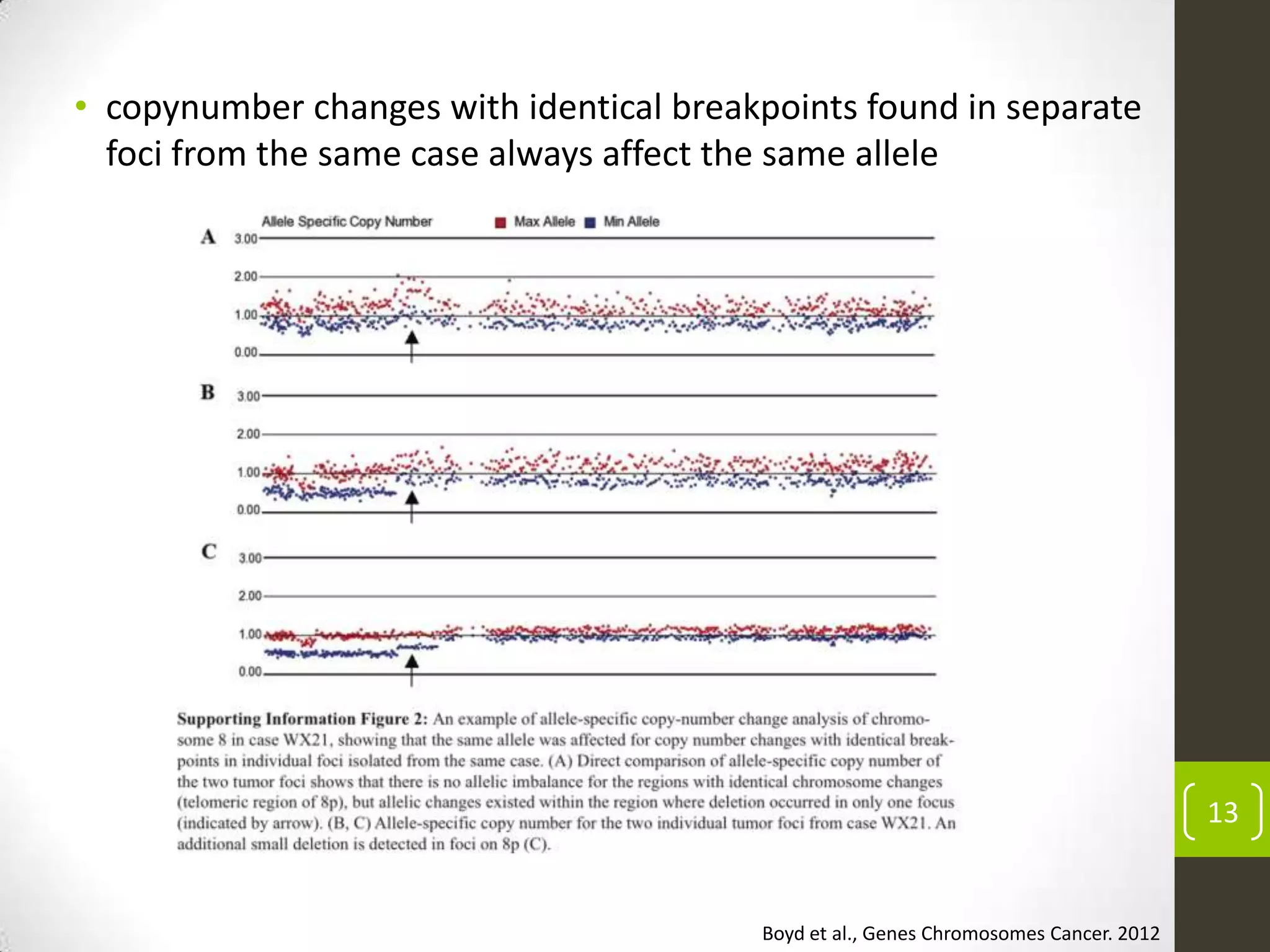 13
Boyd et al., Genes Chromosomes Cancer. 2012
• copynumber changes with identical breakpoints found in separate
foci from the same case always affect the same allele
 