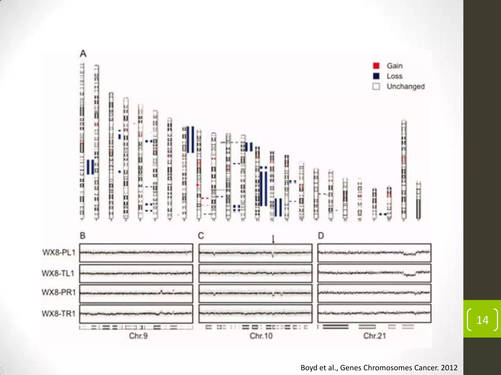 14
Boyd et al., Genes Chromosomes Cancer. 2012
 