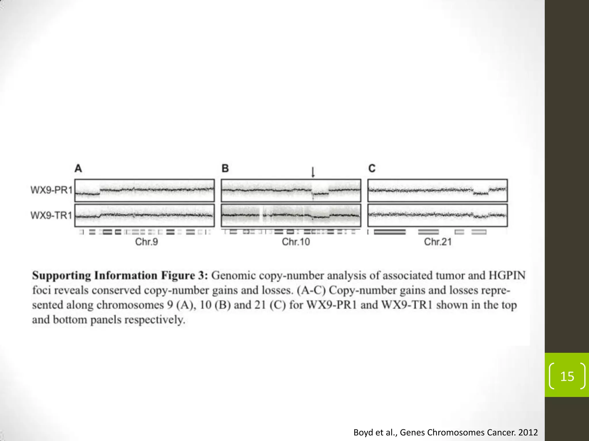 15
Boyd et al., Genes Chromosomes Cancer. 2012
 