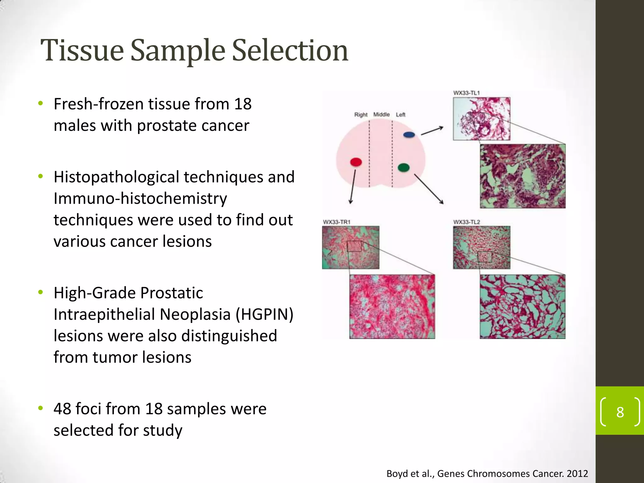 Tissue Sample Selection
8
• Fresh-frozen tissue from 18
males with prostate cancer
• Histopathological techniques and
Immuno-histochemistry
techniques were used to find out
various cancer lesions
• High-Grade Prostatic
Intraepithelial Neoplasia (HGPIN)
lesions were also distinguished
from tumor lesions
• 48 foci from 18 samples were
selected for study
Boyd et al., Genes Chromosomes Cancer. 2012
 