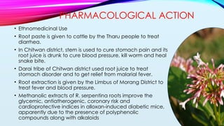 RAUVOLFIA SERPENTINA (SARPAGANDHA) brief introduction and their ...