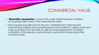 RAUVOLFIA SERPENTINA (SARPAGANDHA) brief introduction and their ...