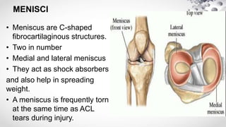 MENISCI
• Meniscus are C-shaped
fibrocartilaginous structures.
• Two in number
• Medial and lateral meniscus
• They act as shock absorbers
and also help in spreading
weight.
• A meniscus is frequently torn
at the same time as ACL
tears during injury.
 