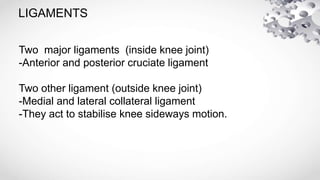 LIGAMENTS
Two major ligaments (inside knee joint)
-Anterior and posterior cruciate ligament
Two other ligament (outside knee joint)
-Medial and lateral collateral ligament
-They act to stabilise knee sideways motion.
 