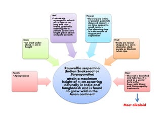 Stem
•An erect under-
shrub, 75 cm in
height
Leaf
•Leaves are
arranged in whorls
of 3-4 upto 10 cm
long and 5 cm
broad, gradually
tapering into a
petiole. Leaves are
bright green above
and pale beneath.
Flower
•Flowers are white
or pinkish, peduncle
deep red, about 1.5
cm long, appear in
small clusters.
•The blooming time
is in the month of
August and
September
Fruit
•Fruits are round
shaped, to 5 cm in
diameter, dark,
purple or blackish
when ripe.
Rauwolfia serpentina
(Indian Snakeroot or
Sarpagandha)
attain a maximum
height of 75 cm,occurring
naturally in India and
Bangladesh and is found
to grow wild in the
Asian continent
Family
•Apocynaceae
Root
•The root is branched
and tuberous. It is
used as a useful
herb in the
Ayurveda, Unani
and Homoeopathy
treatments.
Most alkaloid
 