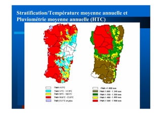 Stratification/Température moyenne annuelle et
Pluviométrie moyenne annuelle (HTC)
 