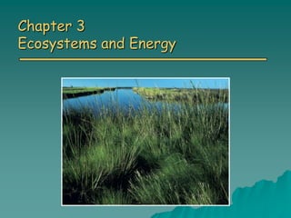 Chapter 3
Ecosystems and Energy
 