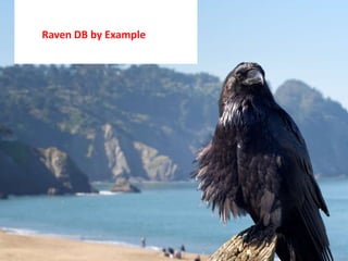 Raven DB by Example 