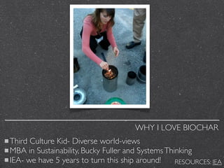 Biochar Stoves:The Commercialization and Advantages | PDF