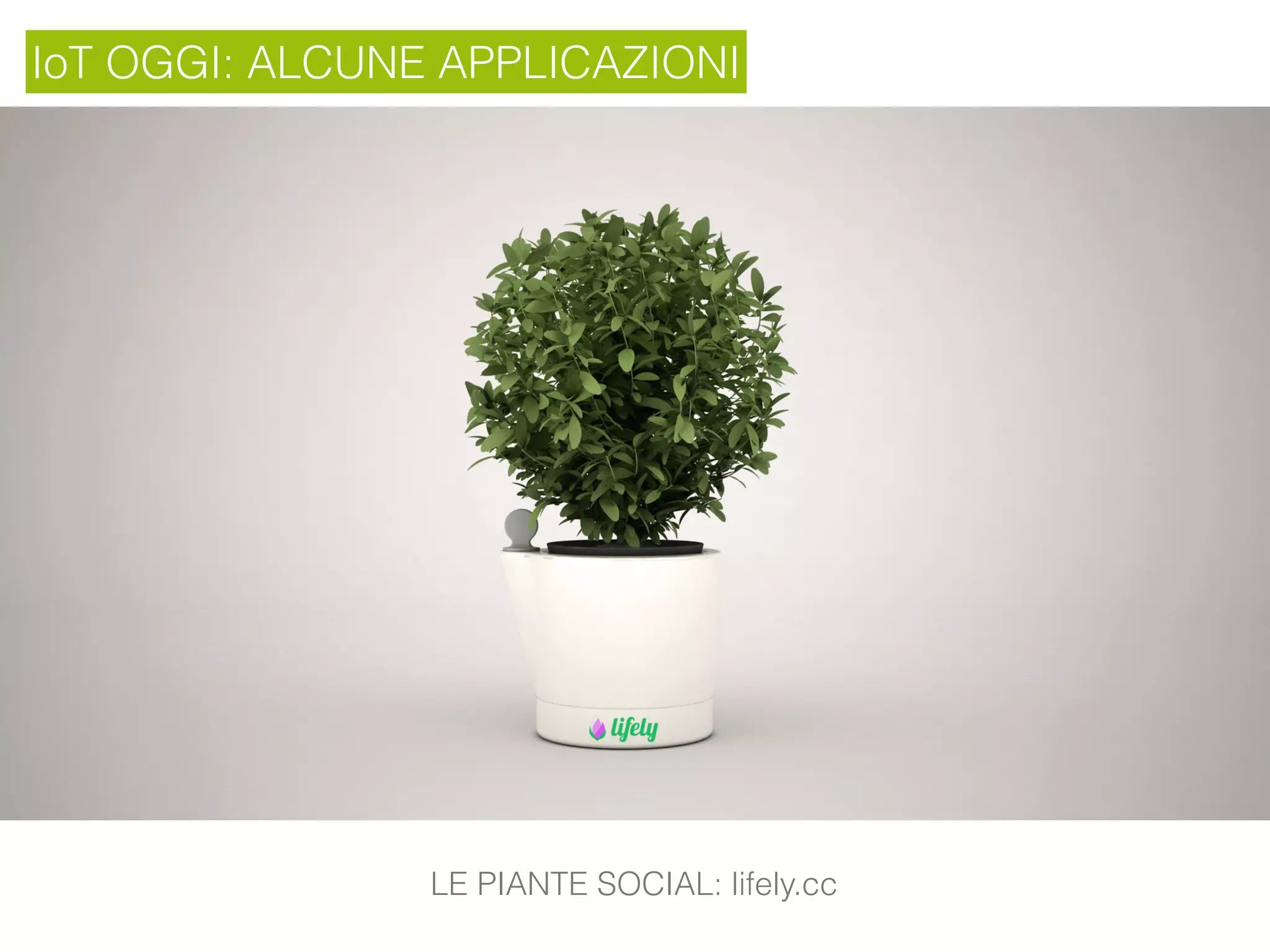 IoT OGGI: ALCUNE APPLICAZIONI
LE PIANTE SOCIAL: lifely.cc
 