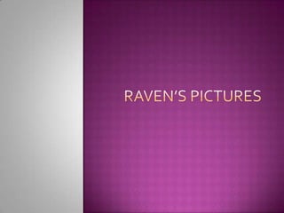 Raven’s Pictures 