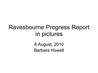 Ravesbourne Progress Report in pictures 8 August, 2010 Barbara Howell 