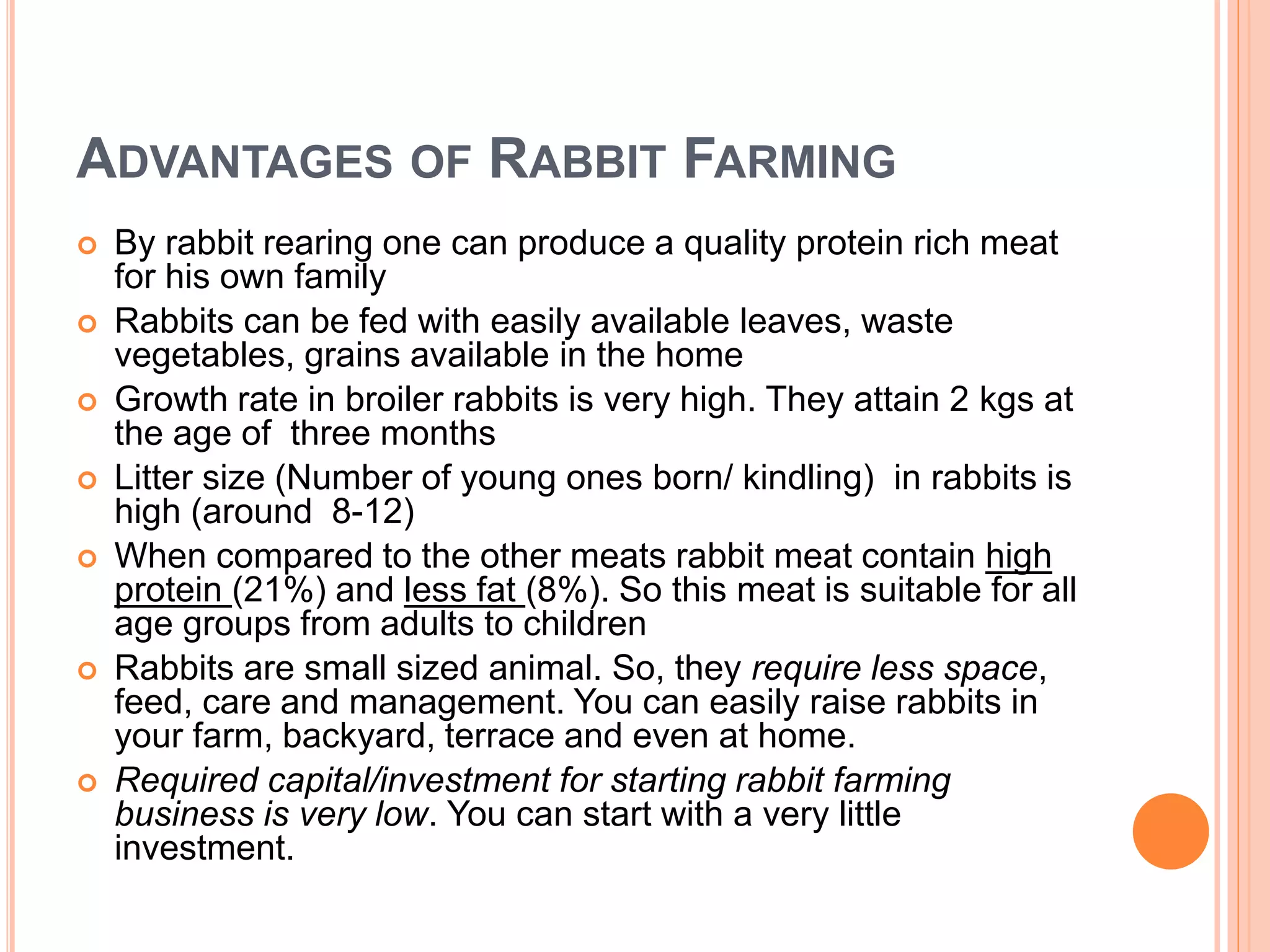 Rabbit Farming | PPTX
