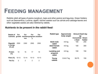 FEEDING MANAGEMENT
Details of
nutrients
For
growth
For
maintena
nce
For
pregnanc
y
For
lactation
Digestibl
e energy
(K.cal)
2500 2300 2500 2500
Protein
(%)
18 16 17 19
Fibre (%) 10-13 13-14 10-13 10-13
Fat (%) 2 2 2 2
Rabbit type Approximate
body weight
Amount feed/ day
(g)
Concentrat
e feed
Green
fodder
Adult male
rabbit
4-5 kg 100 250
Adult female
rabbit
4-5 kg 100 300
Lactating and
pregnant
rabbit
4-5 kg 150 150
Young
rabbits
0.6-0.7 kg 50-75 150
Rabbits relish all types of grains (sorghum, bajra and other grains) and legumes. Green fodders
such as Desmanthus, Lucerne, agathi, kitchen wastes such as carrots and cabbage leaves and
other vegetable wastes are also relished by rabbits.
Nutrients to be present in the rabbit feed:
 