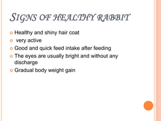 SIGNS OF HEALTHY RABBIT
 Healthy and shiny hair coat
 very active
 Good and quick feed intake after feeding
 The eyes are usually bright and without any
discharge
 Gradual body weight gain
 