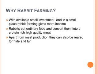 WHY RABBIT FARMING?
 With available small investment and in a small
place rabbit farming gives more income
 Rabbits eat ordinary feed and convert them into a
protein rich high quality meat
 Apart from meat production they can also be reared
for hide and fur
 