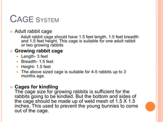 CAGE SYSTEM
 Adult rabbit cage
Adult rabbit cage should have 1.5 feet length, 1.5 feet breadth
and 1.5 feet height. This cage is suitable for one adult rabbit
or two growing rabbits
 Growing rabbit cage
 Length- 3 feet
 Breadth- 1.5 feet
 Height- 1.5 feet
 The above sized cage is suitable for 4-5 rabbits up to 3
months age.
 Cages for kindling
The cage size for growing rabbits is sufficient for the
rabbits going to be kindled. But the bottom and sides of
the cage should be made up of weld mesh of 1.5 X 1.5
inches. This used to prevent the young bunnies to come
out of the cage.
 
