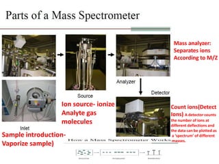 Sample introduction-
Vaporize sample)
Ion source- ionize
Analyte gas
molecules
Mass analyzer:
Separates ions
According to M/Z
Count ions(Detect
Ions) A detector counts
the number of ions at
different deflections and
the data can be plotted as
a ‘spectrum’ of different
masses.
 