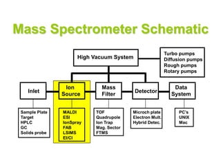Mass Spectrometer Schematic
Inlet
Ion
Source
Mass
Filter
Detector
Data
System
High Vacuum System
Turbo pumps
Diffusion pumps
Rough pumps
Rotary pumps
Sample Plate
Target
HPLC
GC
Solids probe
MALDI
ESI
IonSpray
FAB
LSIMS
EI/CI
TOF
Quadrupole
Ion Trap
Mag. Sector
FTMS
Microch plate
Electron Mult.
Hybrid Detec.
PC’s
UNIX
Mac
 