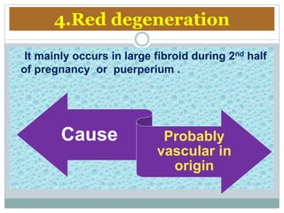 4.Red degeneration
It mainly occurs in large fibroid during 2nd half
of pregnancy or puerperium .
Cause Probably
vascular in
origin
 