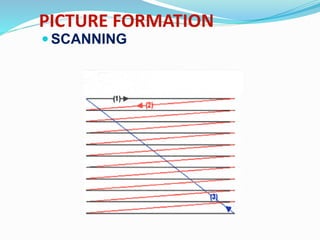 PICTURE FORMATION
 SCANNING
 