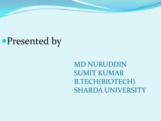 Presented by
MD NURUDDIN
SUMIT KUMAR
B.TECH(BIOTECH)
SHARDA UNIVERSITY

 