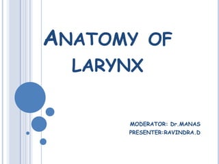 ANATOMY OF
LARYNX
MODERATOR: Dr.MANAS
PRESENTER:RAVINDRA.D

 
