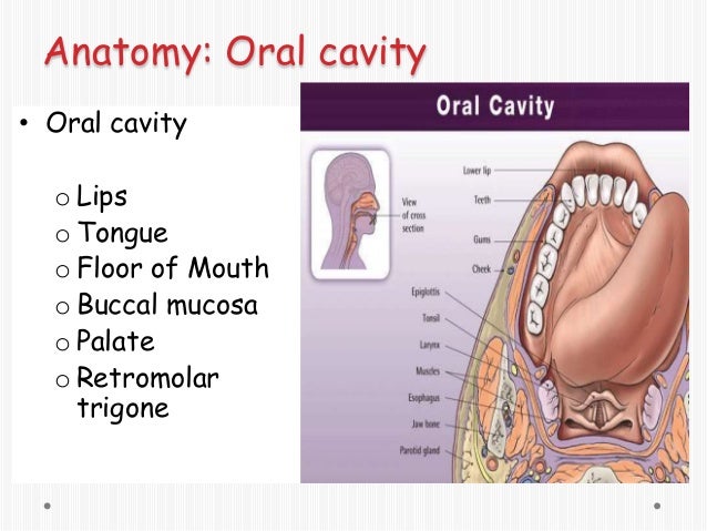 common oral lesions by ravindra daggupati