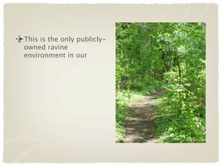 This is the only publicly-
owned ravine
environment in our
 