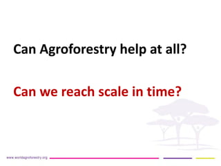 Can Agroforestry help at all? 
Can we reach scale in time? 
 