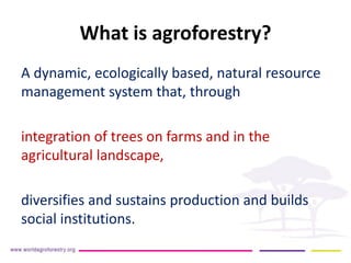 What is agroforestry? 
A dynamic, ecologically based, natural resource management system that, through 
integration of trees on farms and in the agricultural landscape, 
diversifies and sustains production and builds social institutions. 
 