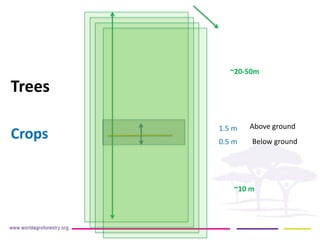 Above ground 
Below ground 
1.5 m 
0.5 m 
Crops 
Trees 
~20-50m 
~10 m  