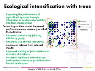 Ecological intensification with trees 
• 
Improving the performance of agricultural systems through integration of ecological principles into farm management. 
Depending on the context, improved performance may mean any or all of the following: 
• 
increased productivity (closing efficiency gaps); 
• 
enhanced use of local resources; 
• 
maximized returns from external inputs; 
• 
improved stability of yields (risks) and diversity of products; 
• 
increased resilience and enhanced environmental services provision from farmed landscapes. 
Bayala, ICRAF Science Week 2014  