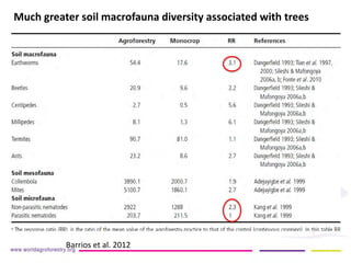 Much greater soil macrofauna diversity associated with trees 
Barrios et al. 2012  